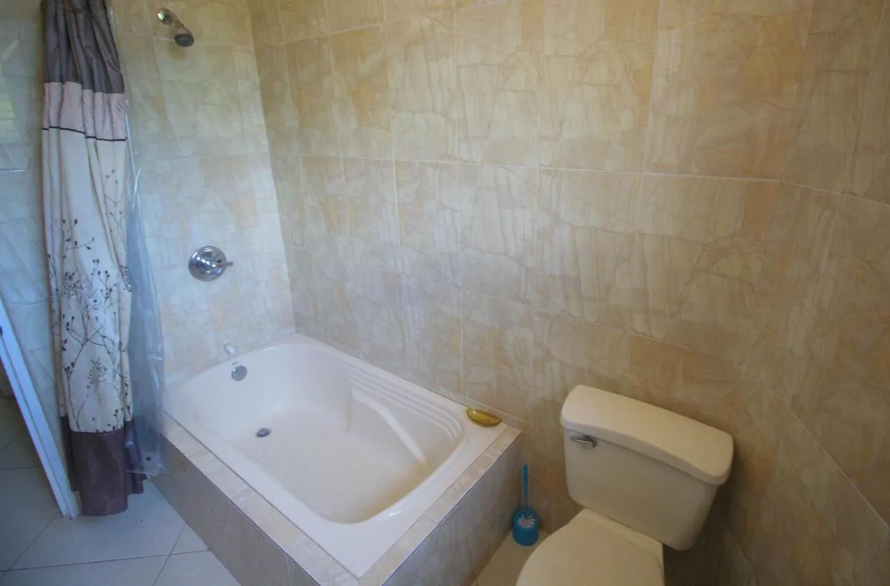 Villa Luxury 10 Bedroom Villa-Millbrooks Montego Bay
