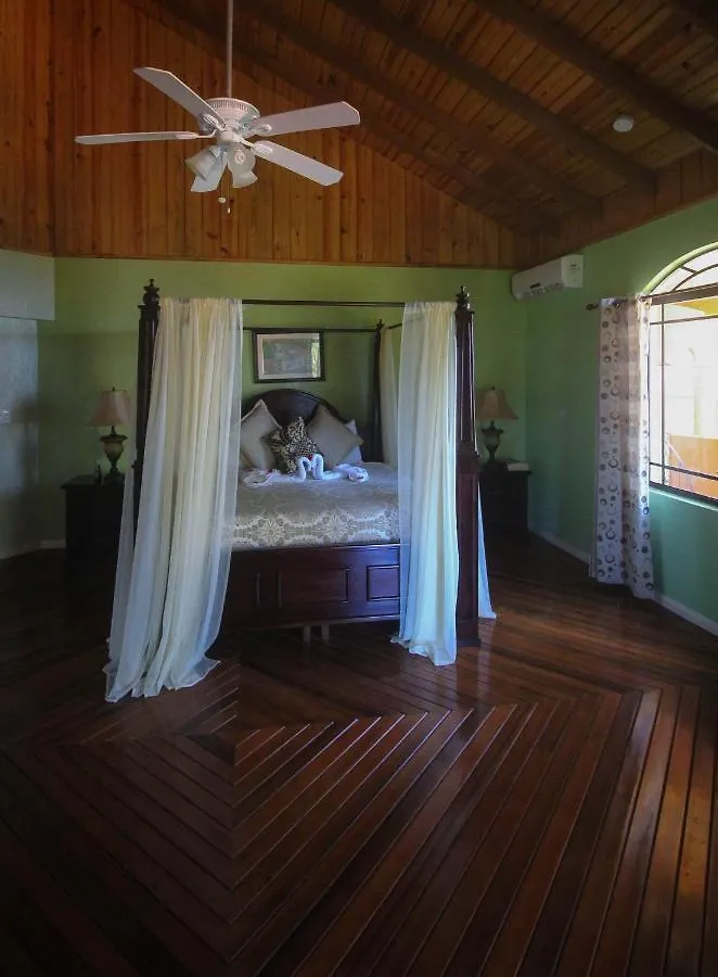 Vila Luxury 10 Bedroom Villa-Millbrooks Montego Bay